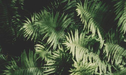 peter-mason-CJfXTyAwa0o-unsplash