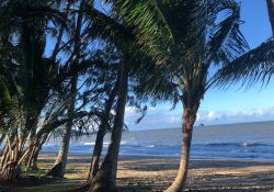 pierre-henry-soria-bEwrplS3FaA-unsplash