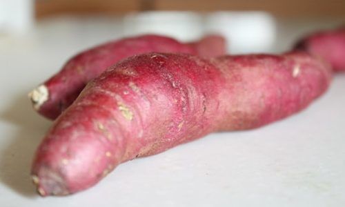 rens-d-J_XFEsYkd_c-unsplash