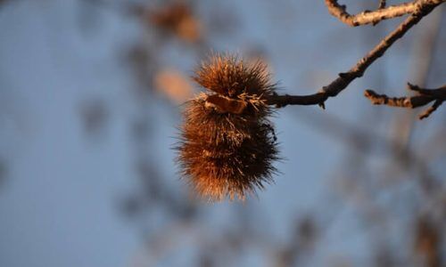 riccardo-romagnoli-KKVQ3ayE1GY-unsplash (1)