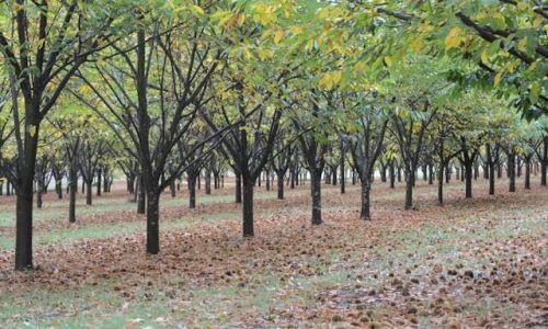 richard-lin-DepBl-z7bvA-unsplash (1)