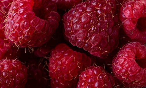 rodion-kutsaiev-B2mc0Ibo8ok-unsplash