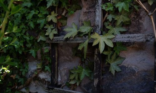 sabina-music-rich-PCH-CU_sgoo-unsplash (1)