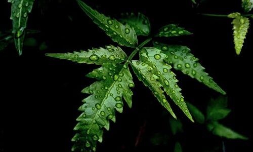 samim-xani-qHckVUCK2_s-unsplash (1)