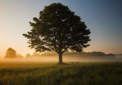 simon-wilkes-S297j2CsdlM-unsplash (1)