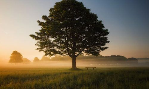 simon-wilkes-S297j2CsdlM-unsplash (1)