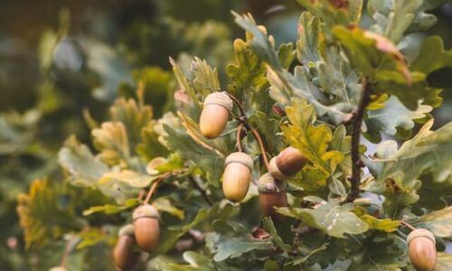 tina-xinia-2o8a64Gznlo-unsplash (1)