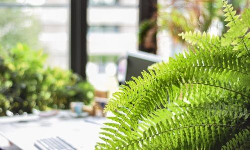 unknown-wong-gFtCSi2rZQQ-unsplash