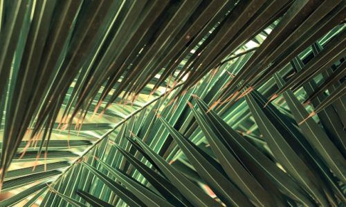 valentin-salja-VMroCCpP648-unsplash