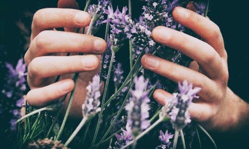 vero-manrique-9OflqNWhcrE-unsplash