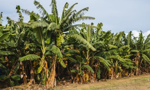 vije-vijendranath-Nm1r9OxG6TU-unsplash