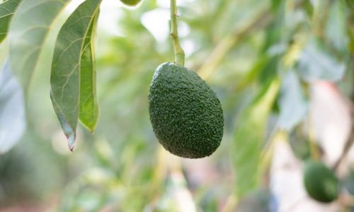 wimber-cancho-MXeIRZQ5kh8-unsplash