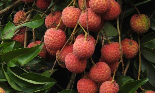 zj-luk-vxf5qTYKvRA-unsplash (1)