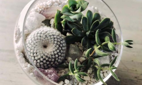 166051692_2758776141103256_5874386242484648462_n (1)