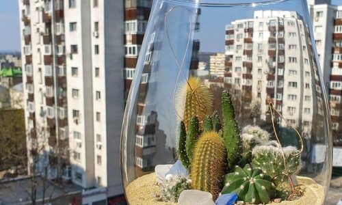 181705067_2427460434065030_6506828864206060257_n (1)