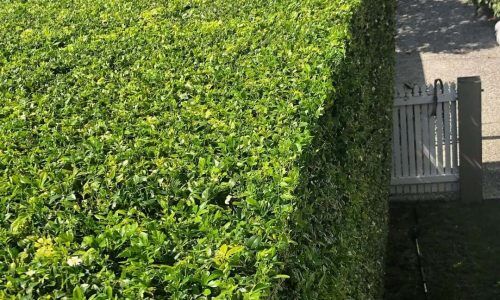 203193368_298010888734125_7127533940230573884_n (1)