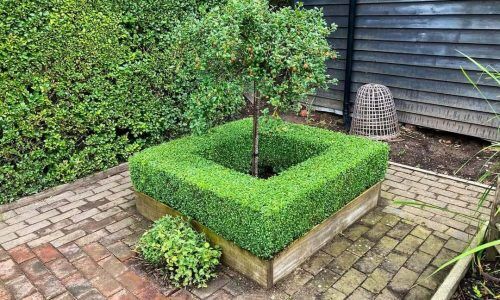 209618497_1912939445534614_4377810413193474020_n (1)