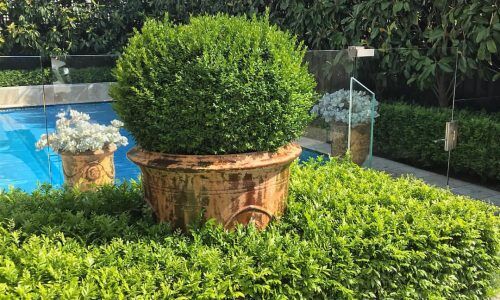 23507027_175982182985766_2461315727202713600_n (1)