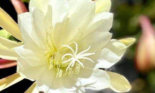 250203171_579094446672827_3981240417953800129_n (1)