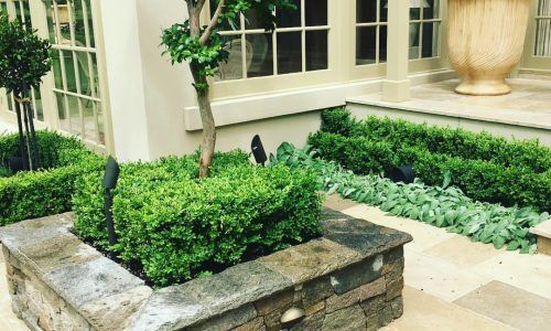 25037784_432184803863088_9177657869539999744_n (1)