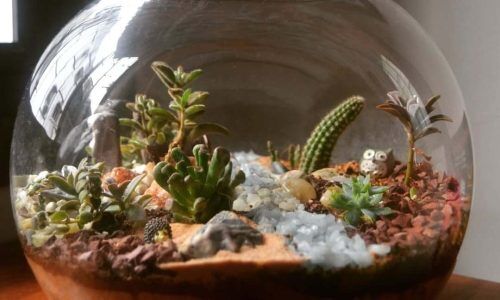 267555020_279850270786399_5198632862693503112_n (1)