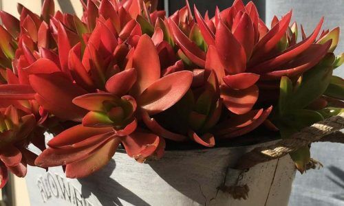 276971819_2086106138231300_7110565069978381510_n (1)