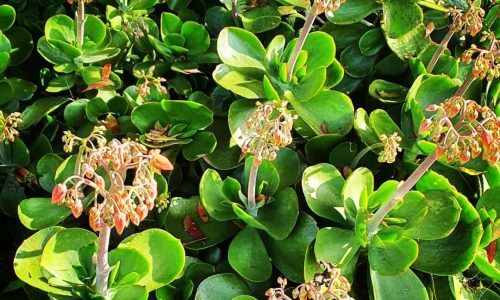 287813154_767928304336614_6381136774000894074_n