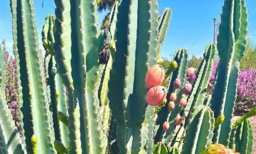 297676564_730446101585862_8022531677229988942_n (1)