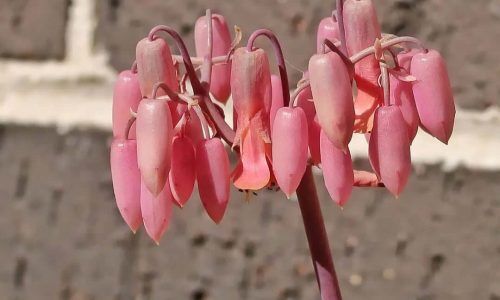 298472360_173516935175378_1992332424341792162_n