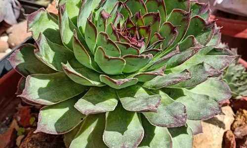 301866370_1042502763122240_8607898700231909377_n