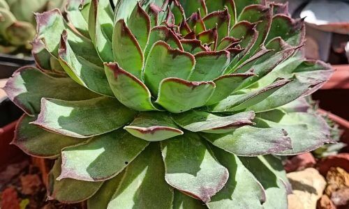 301869983_611468397086992_4782563919506604814_n