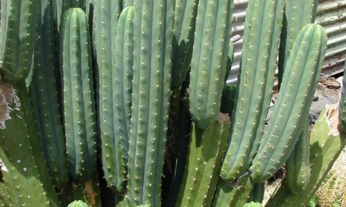 318606183_521334463348660_3358489451366135027_n (1)