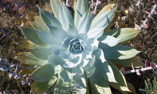 367344944_684490973007495_2158788649671115829_n (1)