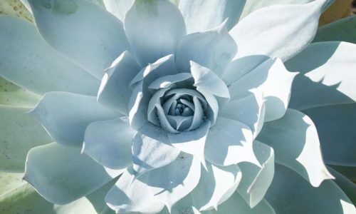 367537843_271078565664176_2310944905094970425_n (1)