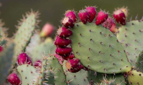 381099010_358196406536225_964349959270326493_n (1)