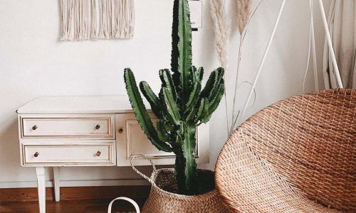 382165018_1018636712587585_2994399905278614560_n (1)