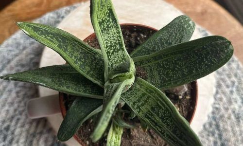 401987403_360012266426428_3885469268796636485_n (1)