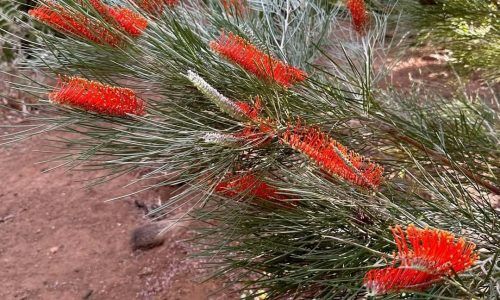 438583480_453046217070265_3207945998618632110_n (1)