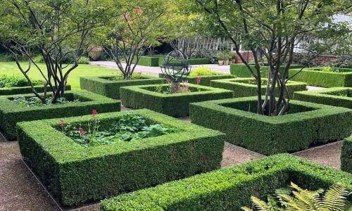 449742938_854952609822127_6323615412680768823_n