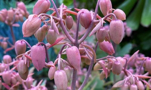 460280761_1543046599645334_6402279111924827276_n (1)