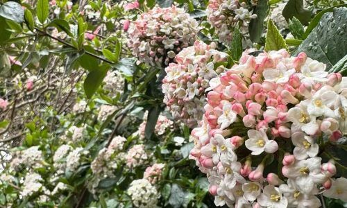 462443697_18461358508041331_3703786140490474897_n (1)