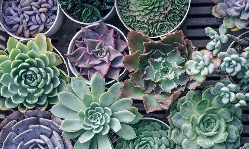 467355049_554184230708872_4697123162078112245_n