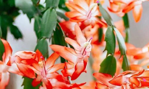 468026748_18470620420053307_5504815686496365162_n (1)