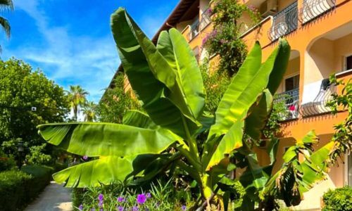 473068581_18480984154010634_7961087005231089725_n (1)