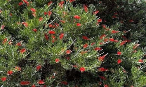 476478094_18129602125398325_3690241442501946587_n (1)