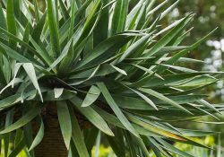 479859736_122235910754068605_8539962143891583923_n (1)