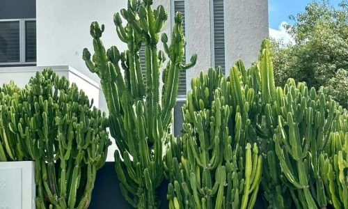 480728097_122135809838401243_3092500209874109969_n (1)