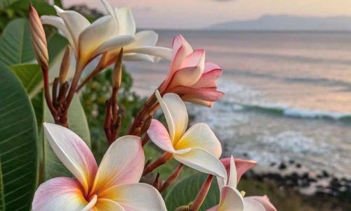 483713794_18485634751038683_5414795859690286890_n (1)