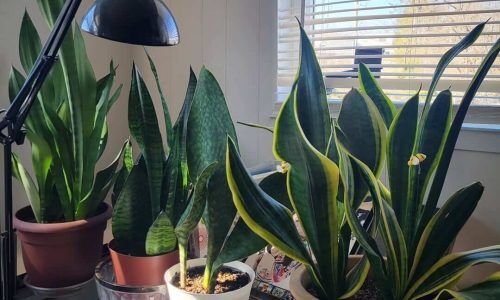 485023348_1429241988063042_5391105869897575622_n