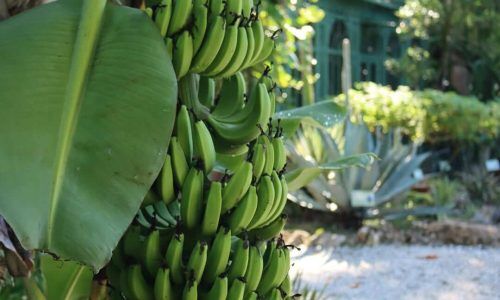 485708525_1066710512167588_3114330745806904090_n (1)